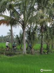 Bali On Bike