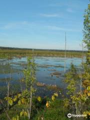Tiny Marsh Provincial Wildlife Area