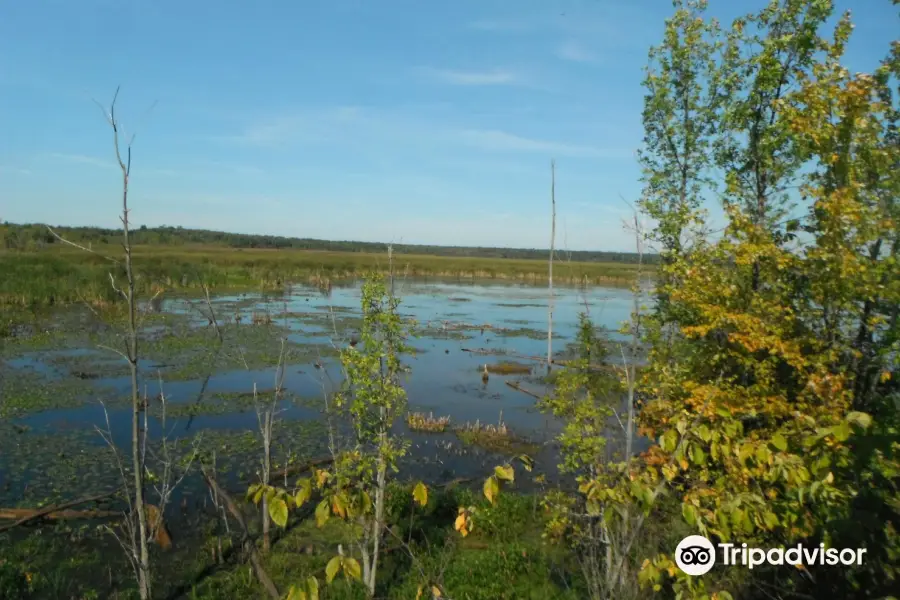 Tiny Marsh Provincial Wildlife Area