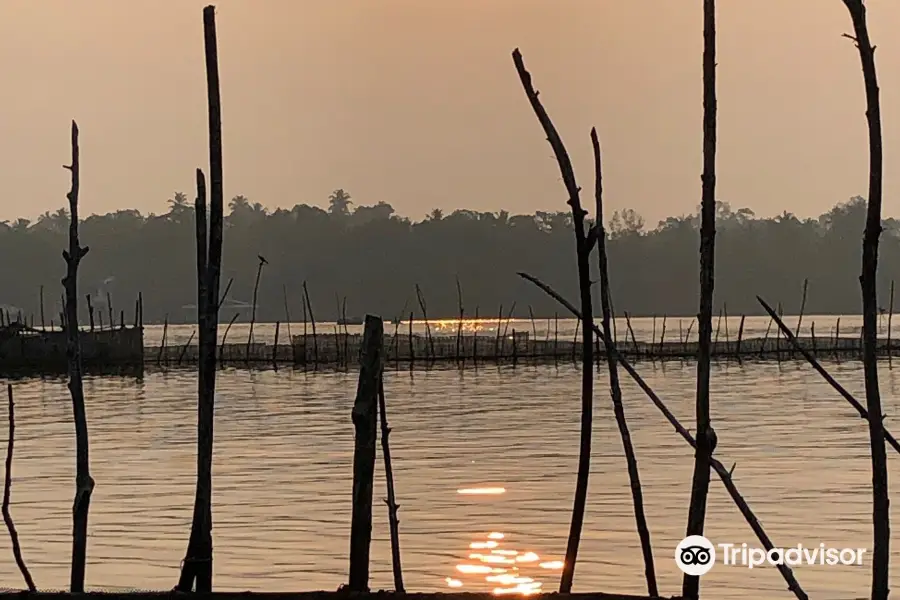 Maduganga Lake