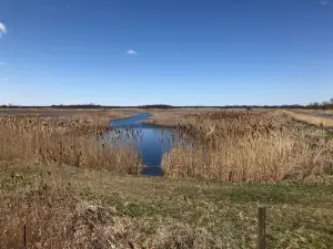 ビッグ・クリーク国立野生動物保護区