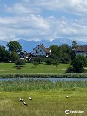 Badi Lützelsee