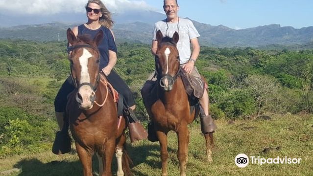 Franklin's Horseback Riding