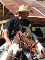 Blue Ridge Mountain Trail Rides