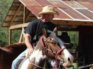 Blue Ridge Mountain Trail Rides