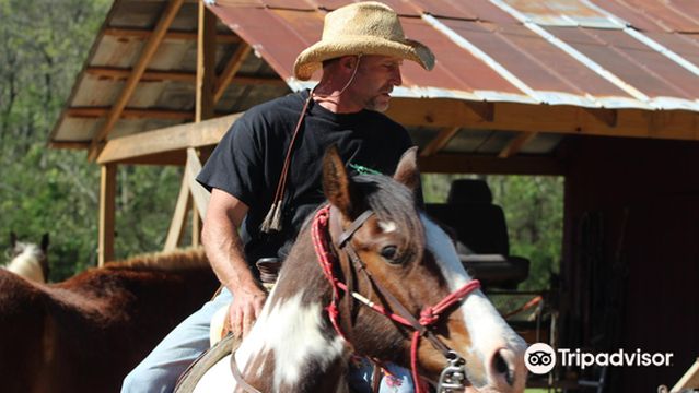 Blue Ridge Mountain Trail Rides