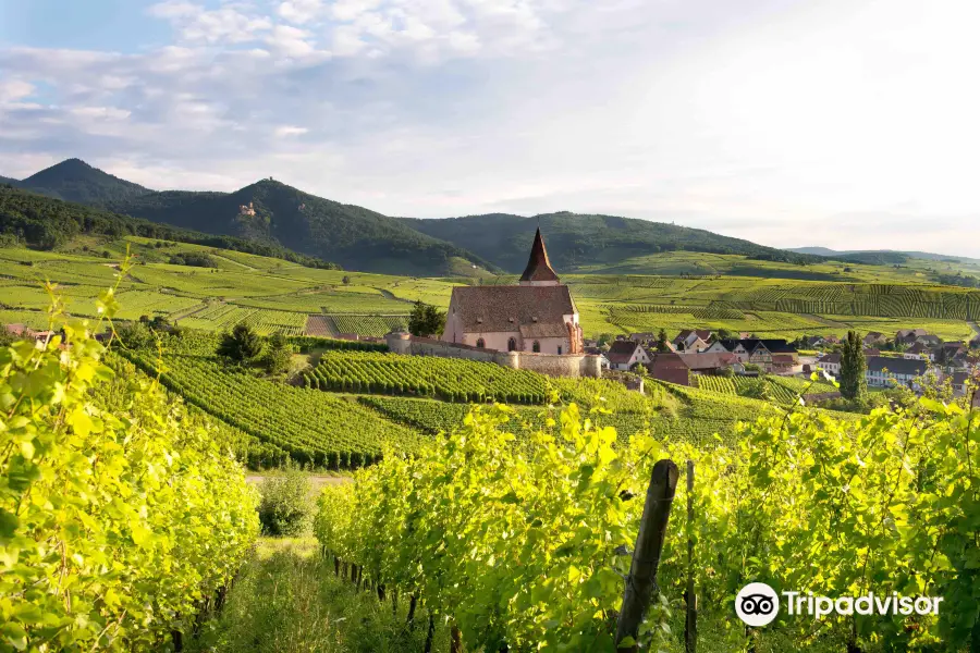 Domaine Mittnacht Frères