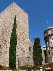 Torre del Pretorio o Castillo del Rey