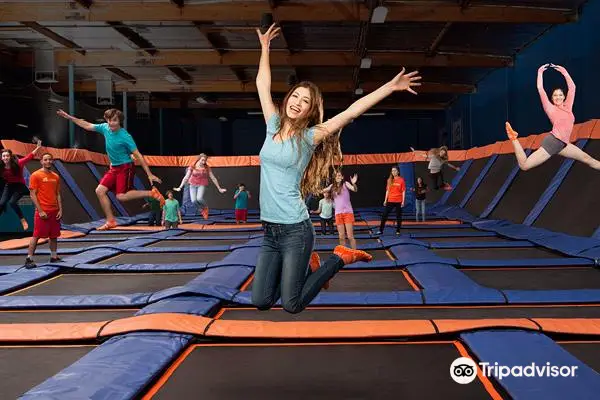 Sky Zone Trampoline Park