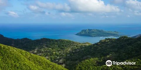 The Peak Forestry Reserve