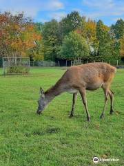 Wismar Zoo