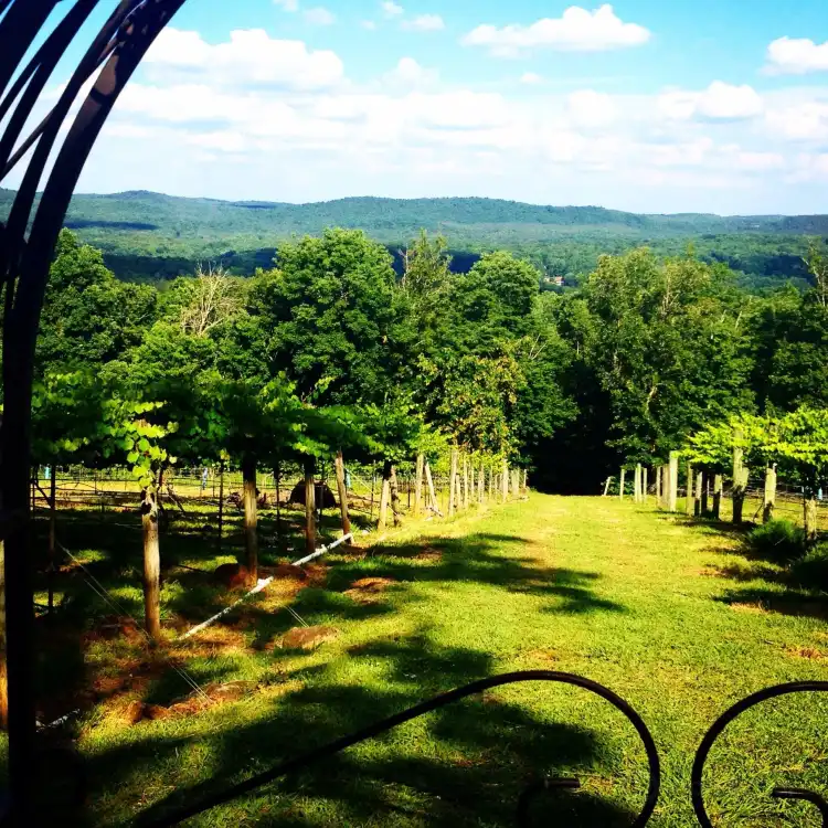 Hotels in North Albemarle
