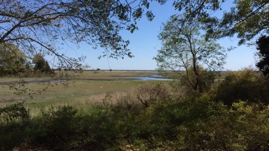 Tabor Trail section of Shoreline Greenway Trail