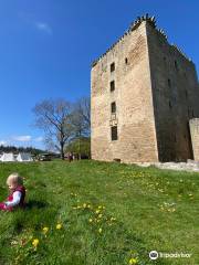 Spynie Palace