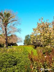 Ramat Hanadiv Jardín Homenaje y Parque Natural