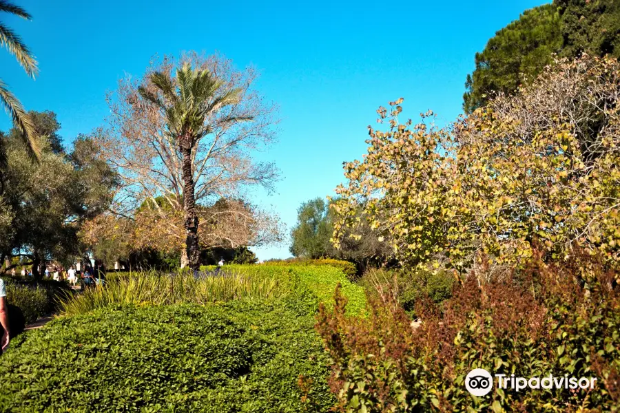 Ramat Hanadiv Jardín Homenaje y Parque Natural