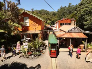 Driving Creek Railway Tours