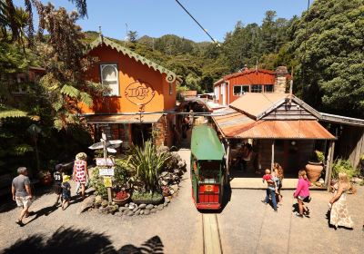 Driving Creek Railway Tours