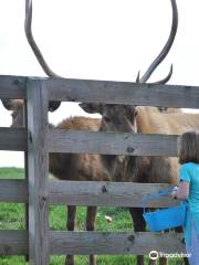 Chestatee Wildlife Preserve & Zoo