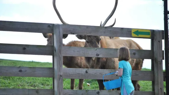 Chestatee Wildlife Preserve & Zoo