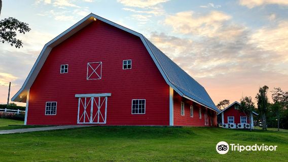 The Old Grove Farmstead