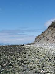 Fort Ebey State Park