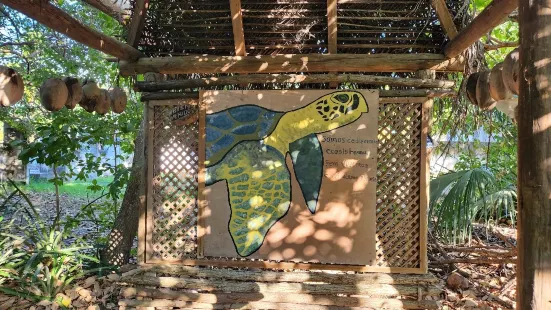 CECON Turtle Hatchery