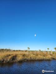 Castaway Island Preserve