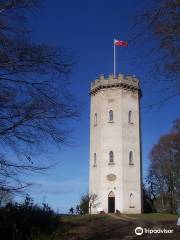 Nelson's Tower