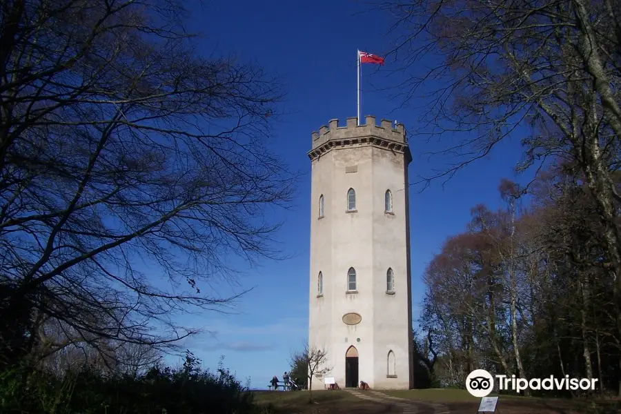 Nelson's Tower