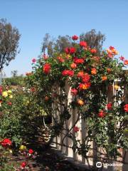 Inez Grant Parker Memorial Rose Garden