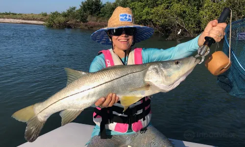 Sea Angling in Tampa