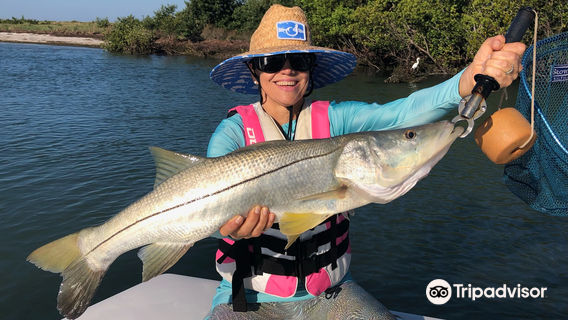 Sea-fishing in Tampa