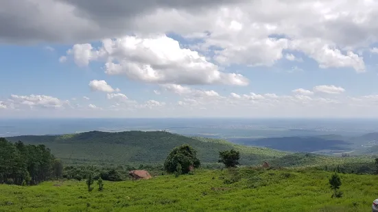 Hanglip Forest Reserve