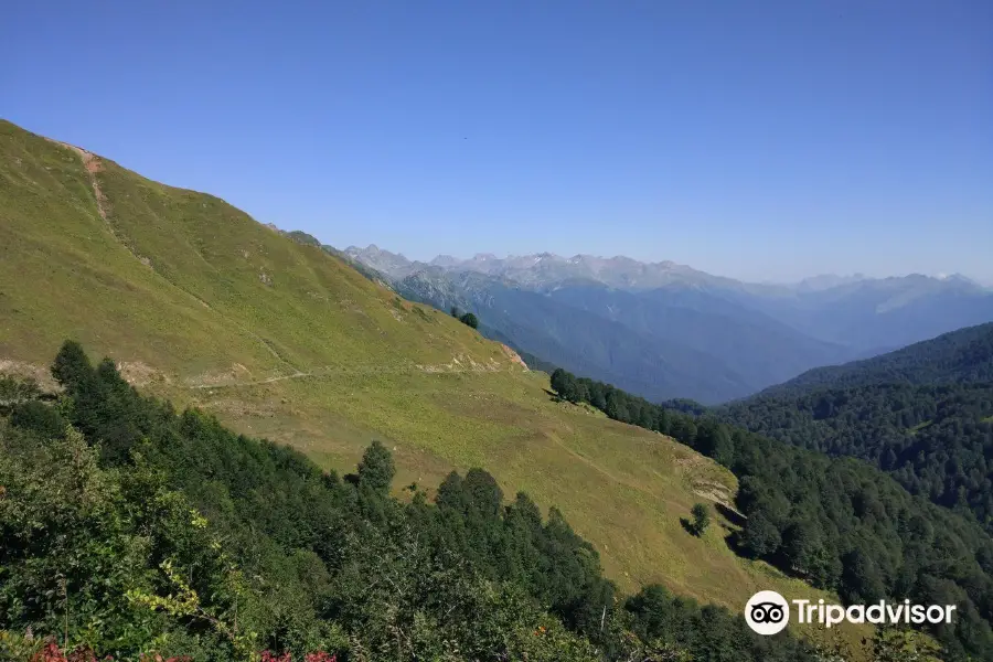 Alpine Meadows of Abkhazia