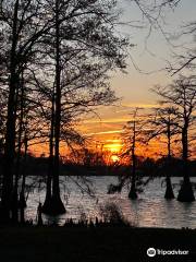 Lake Bruin State Park