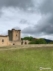 Arques Castle
