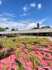 Museu Brasileiro da Escultura e Ecologia