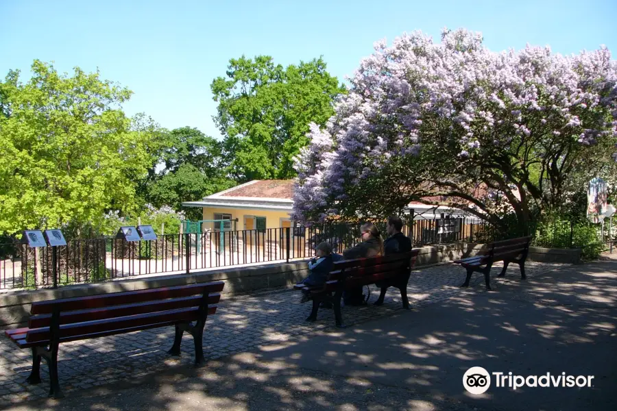 Zoo Halle (Mountain Zoo)