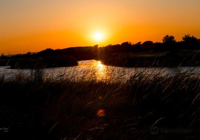 Shoebury Common Beach