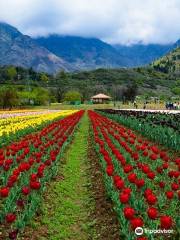 Indira Gandhi Memorial Tulip Garden