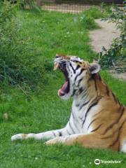 リントン動物園