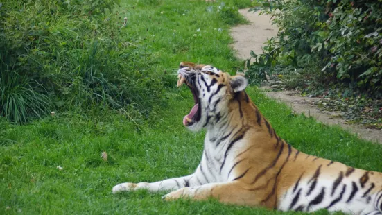 リントン動物園