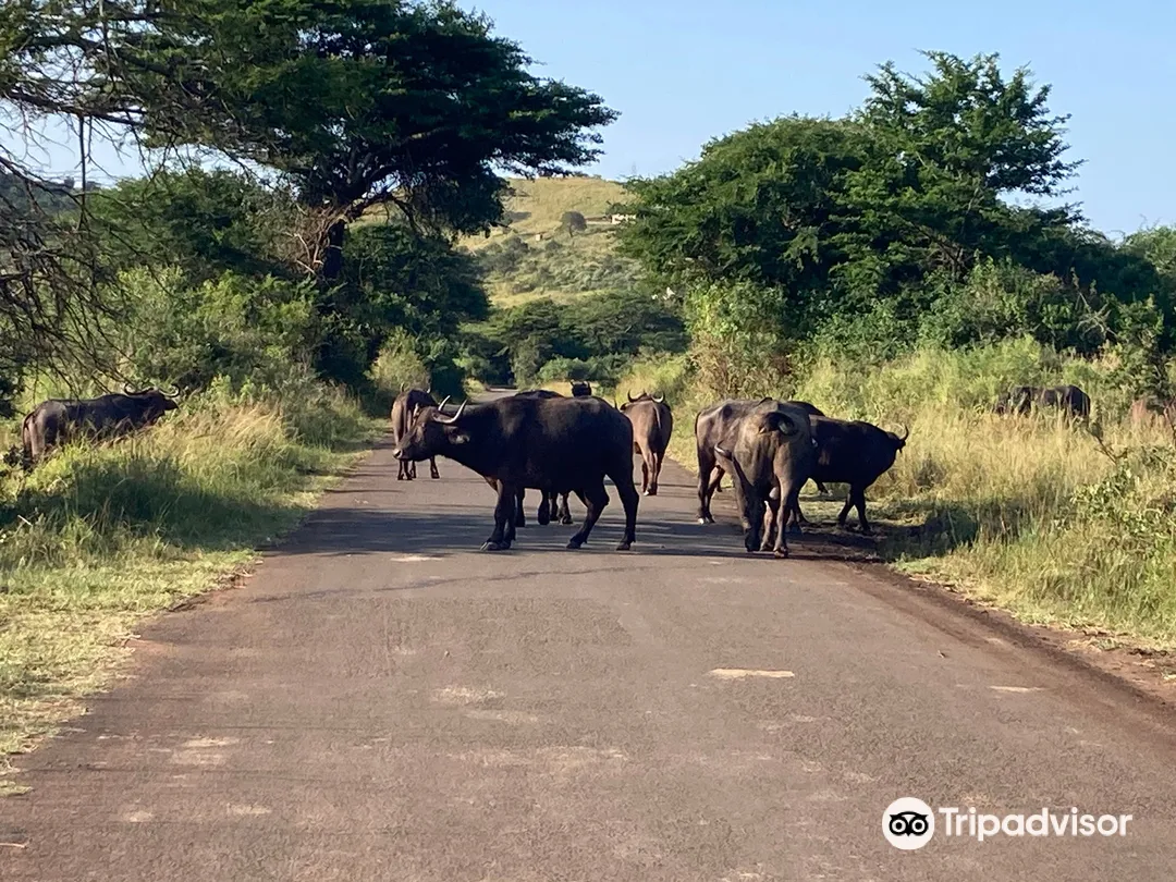 4_Hluhluwe - iMfolozi Park Wilderness Area