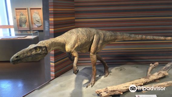 Budner Naturmuseum