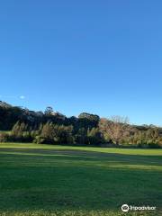 Wolli Creek walking track