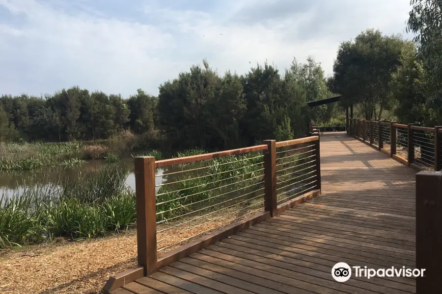 Botanic Ridge Wetland