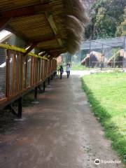 AnimalPark