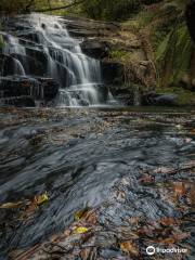 Cora Lynn Cascades Walk