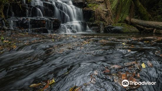 Cora Lynn Cascades Walk